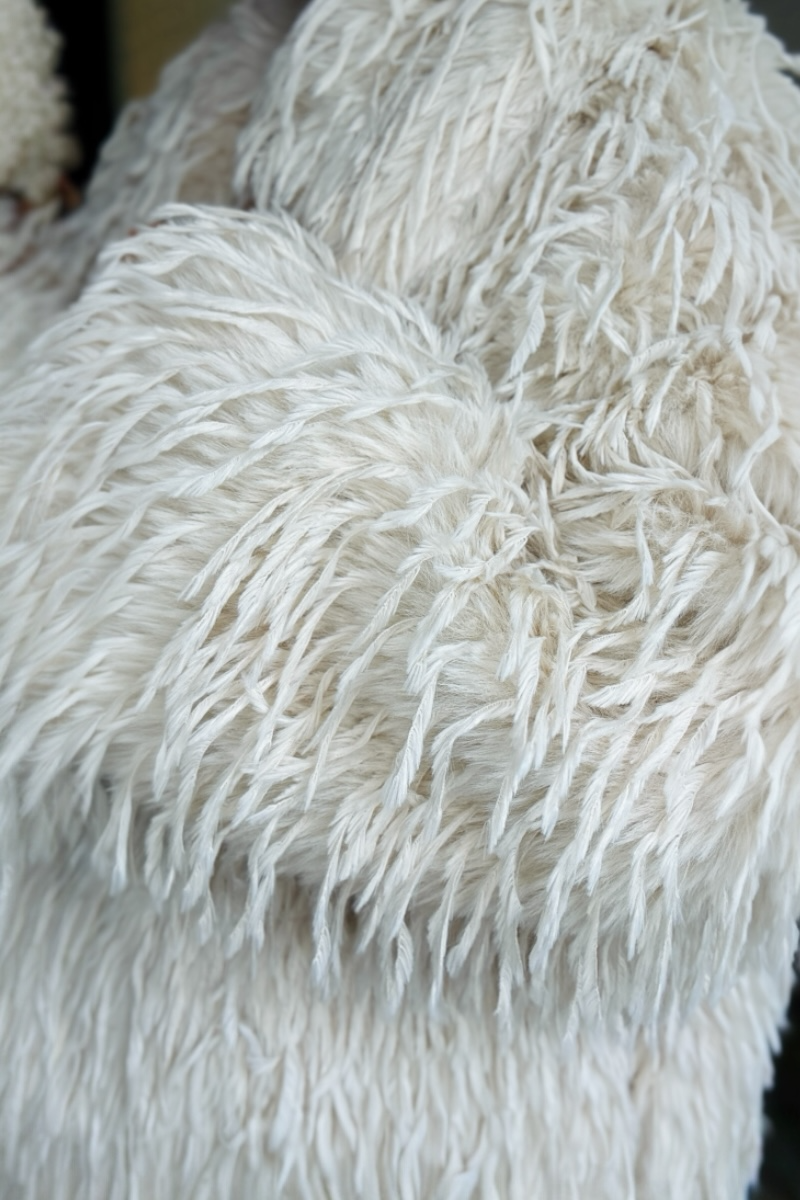 The Shaggy Coat - Leila Luxe