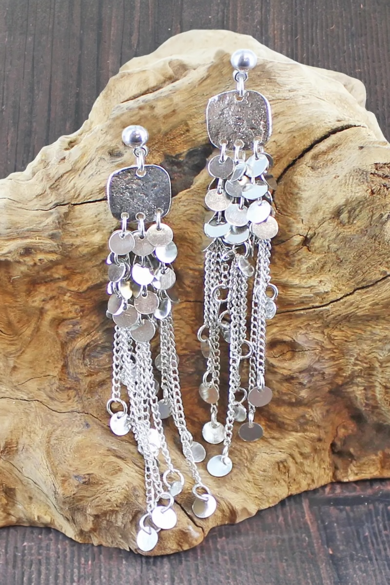 Silver Tassel Chain Earrings