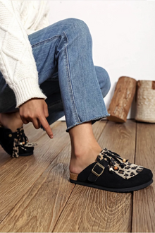 Eddie Fringe Slides
