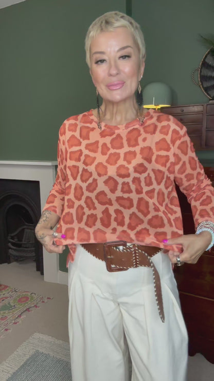 Luna Animal Print Mesh Top